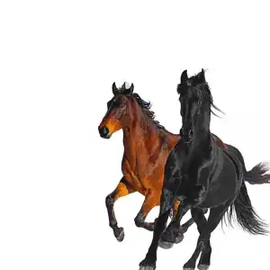 Lil Nas X - Old Town Road